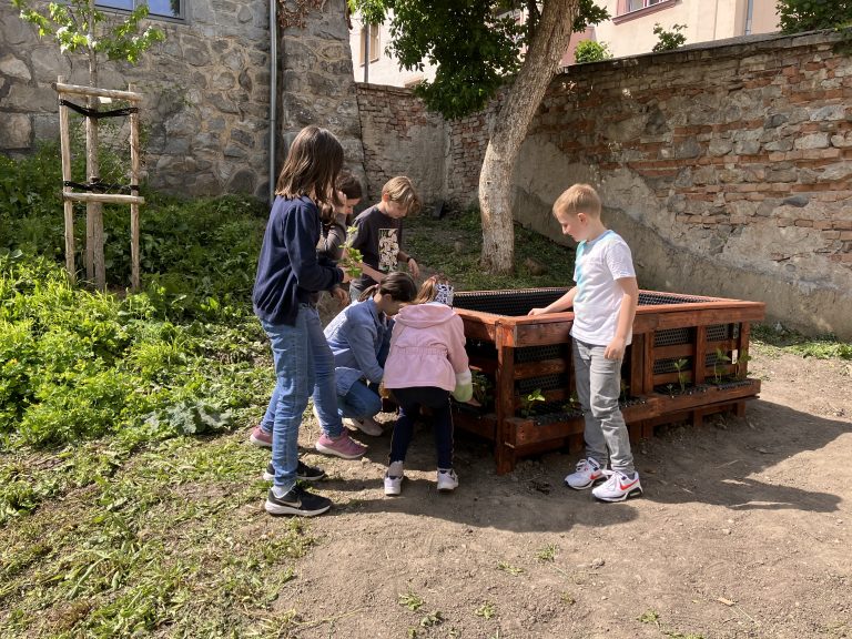 Jahodový záhon na školskom dvore