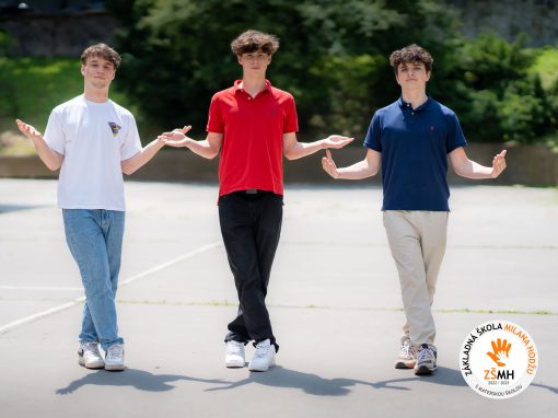 ZSMH_2023_trieda_9A_KOD-04894