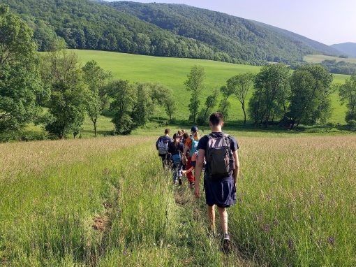 380402509_3652050051782739_7015879845379544472_n