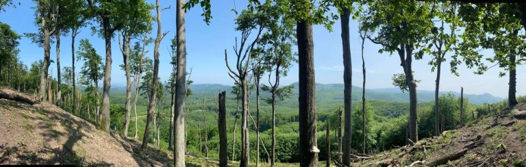 S turistickým krúžkom zo Sološnice cez 3 vrchy do Plaveckého Podhradia