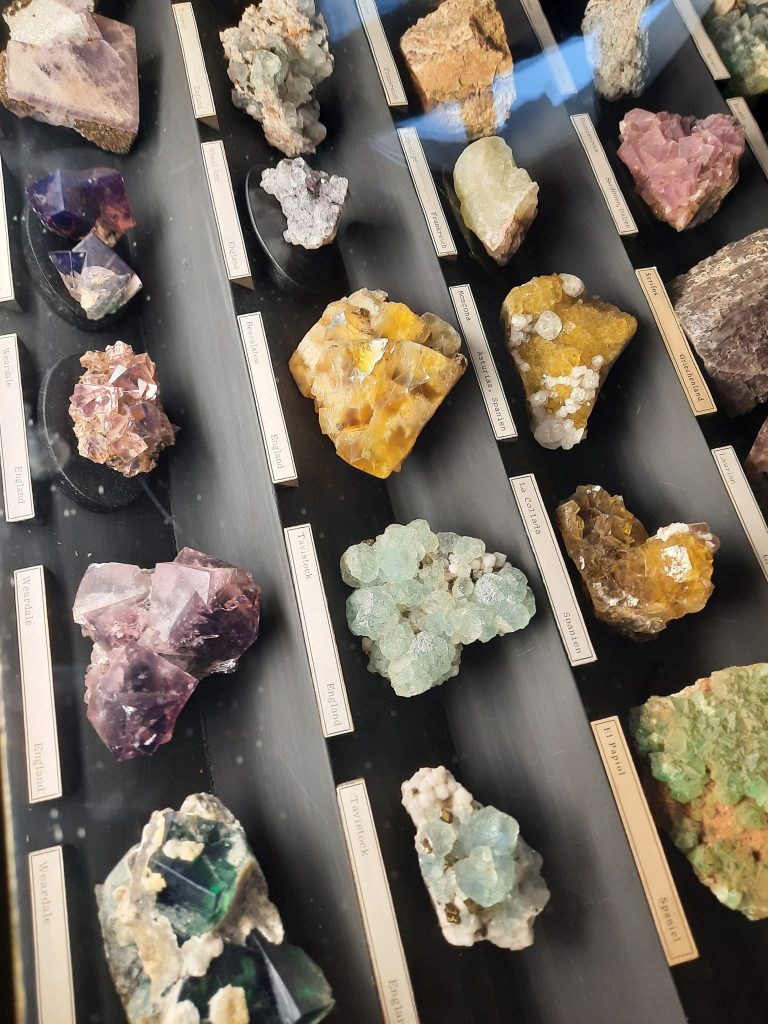 Prírodovedné múzeum Viedeň – exkurzia