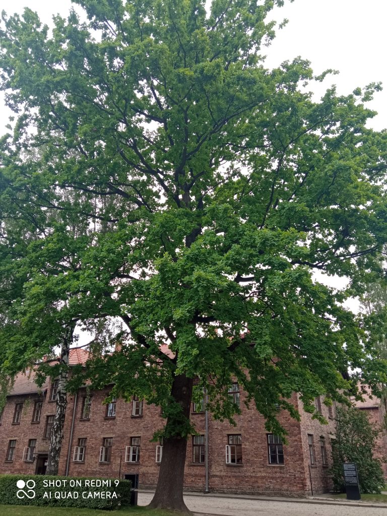 Dejepisná exkurzia v Poľsku 2023