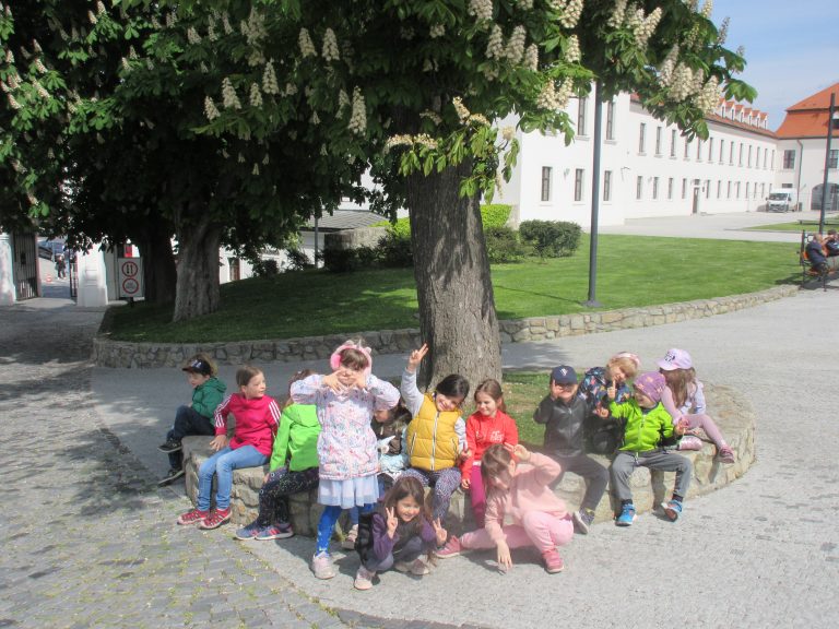 Sovičky v Barokovej záhrade