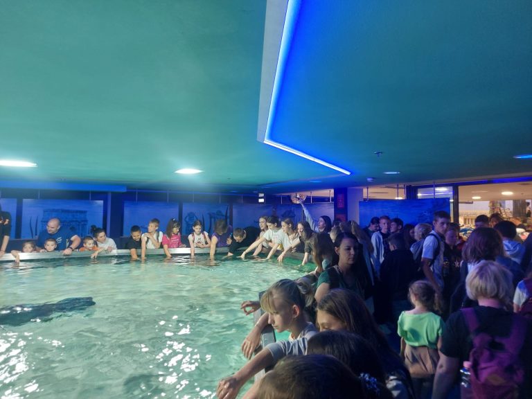 Koncoročný výlet deviatakov