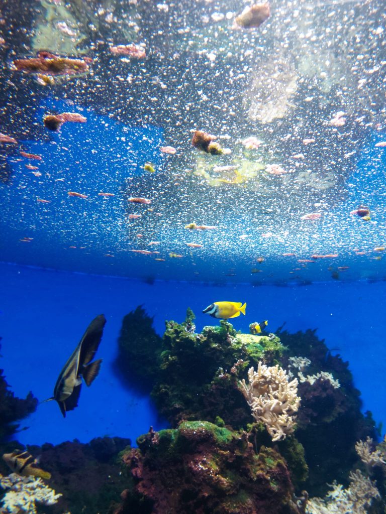 Koncoročný výlet deviatakov