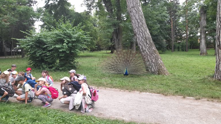 Výlet v Malokarpatskom múzeu v Pezinku