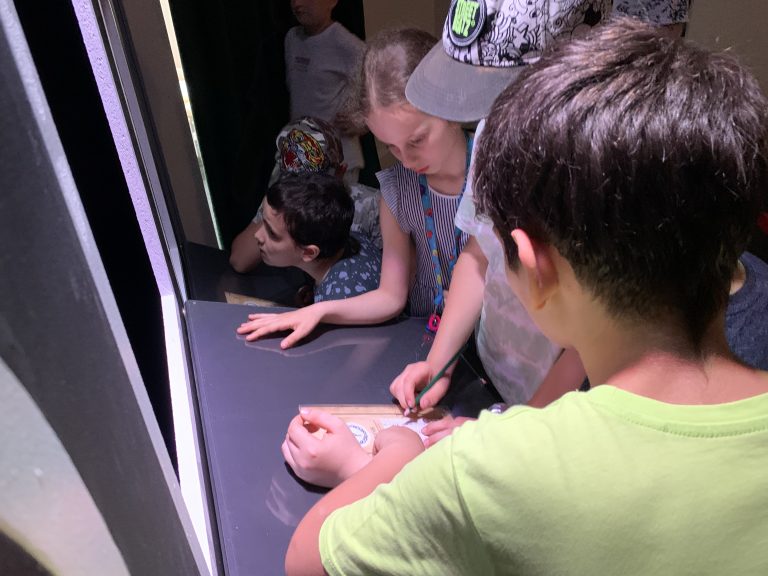 Lovci znakov v Bibiane