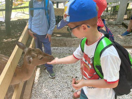 PHOTO-2023-06-29-12-59-44