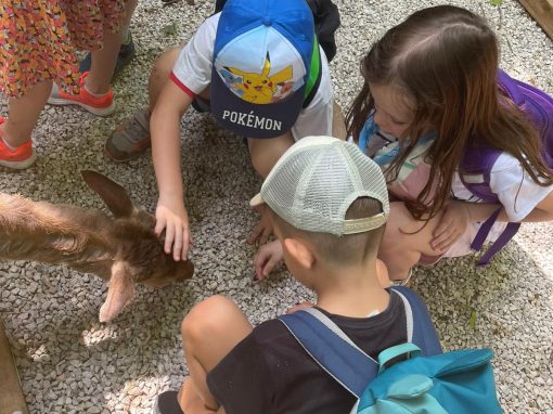 PHOTO-2023-06-29-12-59-44 - kópia 2