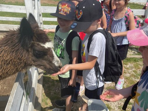 PHOTO-2023-06-29-12-59-45