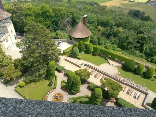 IMG_20230623_124920_722