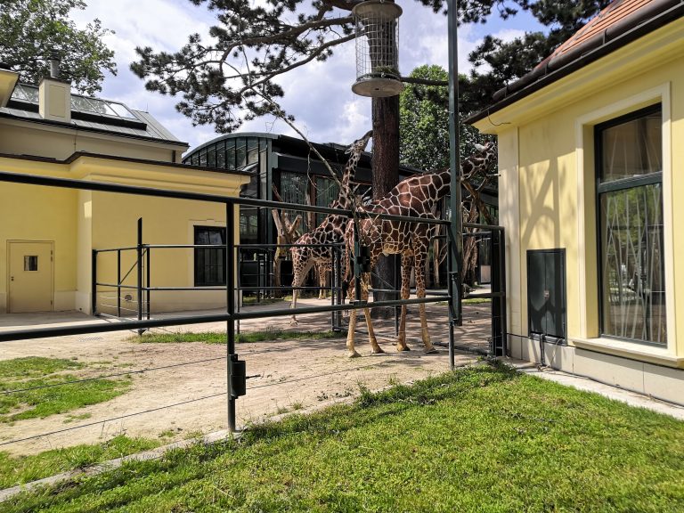 Koncoročný výlet ôsmakov – ZOO Schönbrunn
