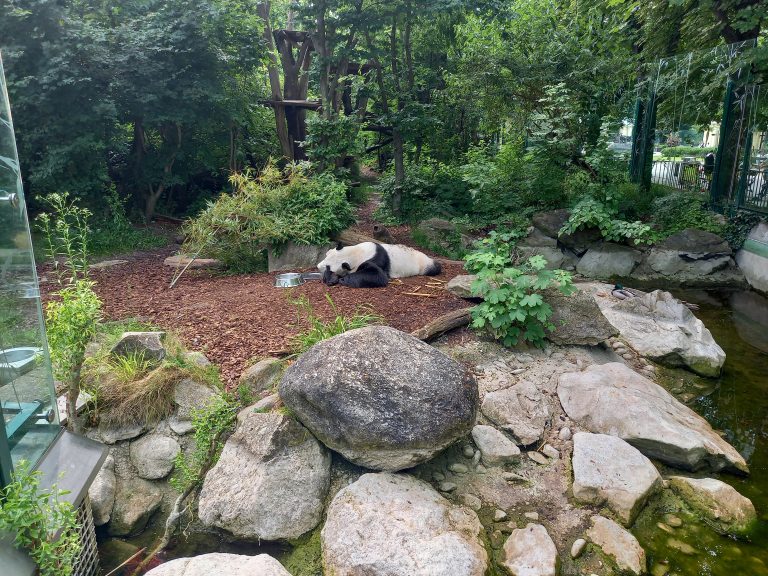 Koncoročný výlet ôsmakov – ZOO Schönbrunn