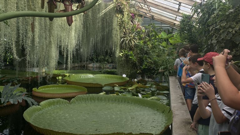 Zážitková hodina techniky v Botanickej záhrade UK