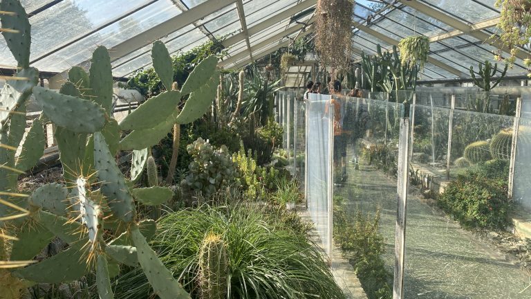 Zážitková hodina techniky v Botanickej záhrade UK