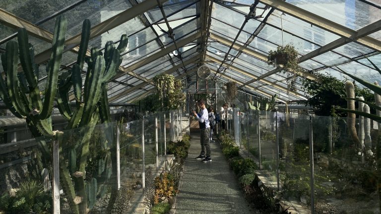 Zážitková hodina techniky v Botanickej záhrade UK