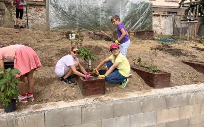 Ovocné kry na školskom dvore