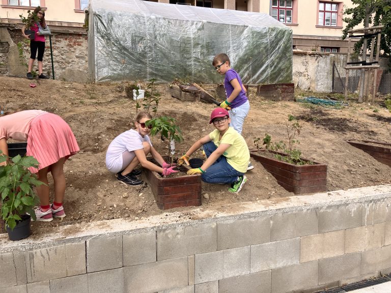 Ovocné kry na školskom dvore