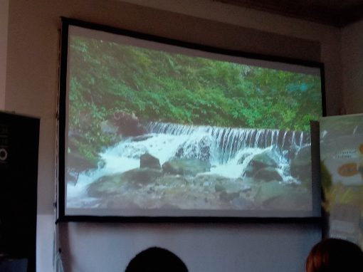 IMG_20230929_084626_586