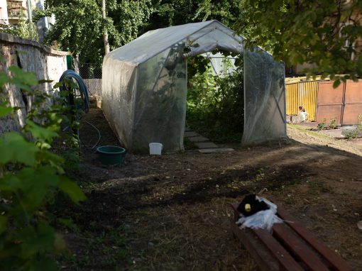 barbora_jancarova-63_53218230362_o