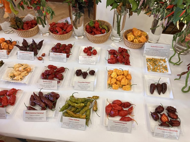 Výstava húb a čili papričiek v SNM