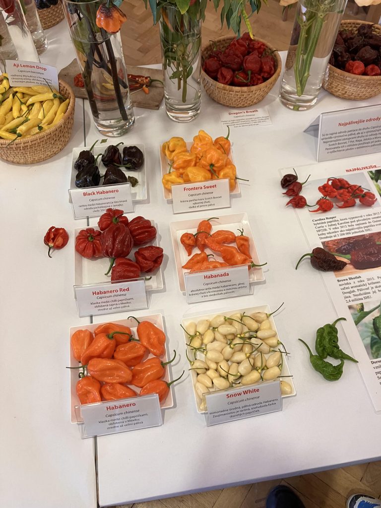 Výstava húb a čili papričiek v SNM