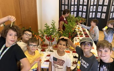 Výstava húb a čili papričiek v SNM