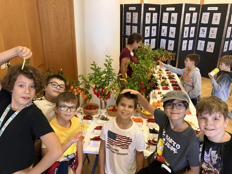 Výstava húb a čili papričiek v SNM