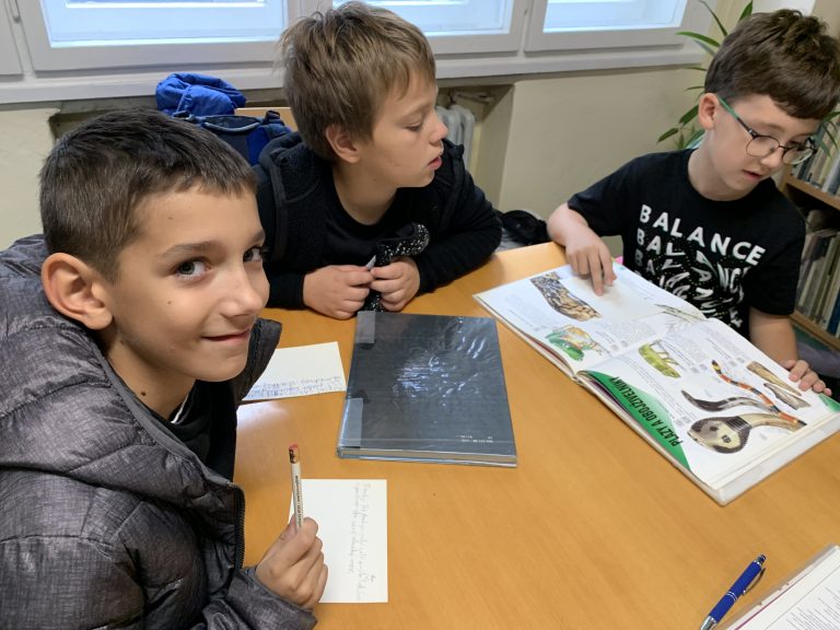 Návšteva knižnice