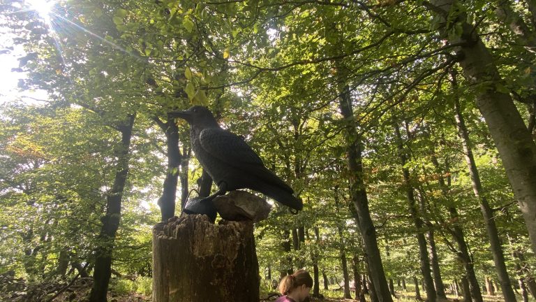 S turistickým krúžkom na najvyšší vrchol Malých Karpát ZÁRUBY