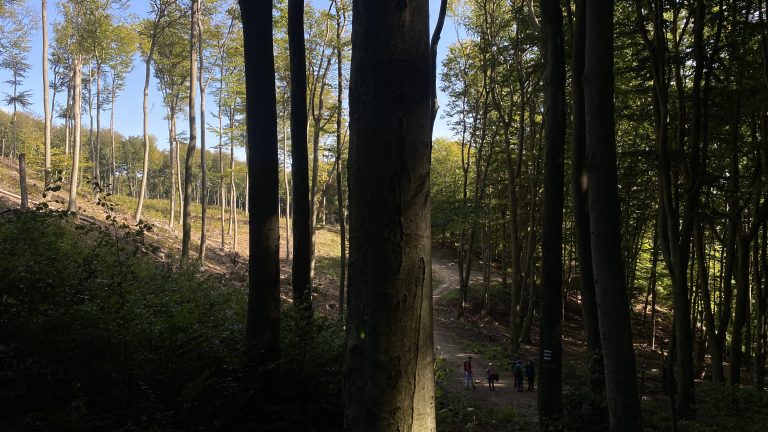 S turistickým krúžkom na najvyšší vrchol Malých Karpát ZÁRUBY