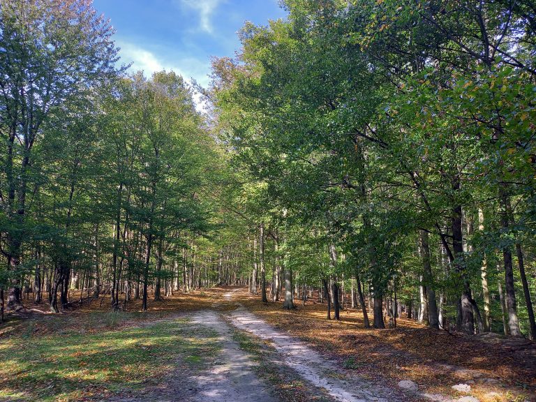 S turistickým krúžkom z Lozorna do Stupavy, Biofarma Príroda