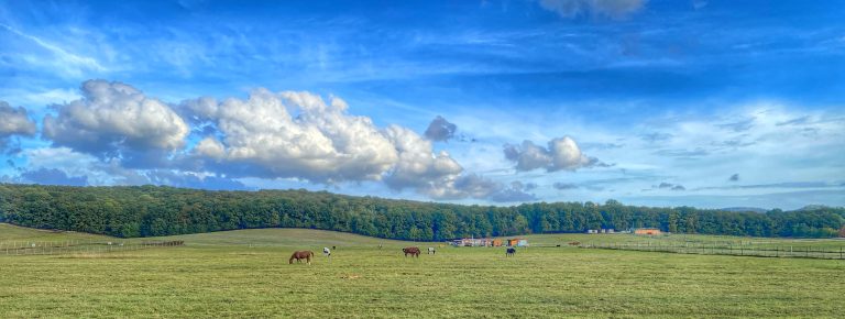 S turistickým krúžkom z Lozorna do Stupavy, Biofarma Príroda