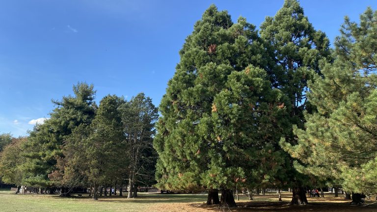 S turistickým krúžkom z Lozorna do Stupavy, Biofarma Príroda