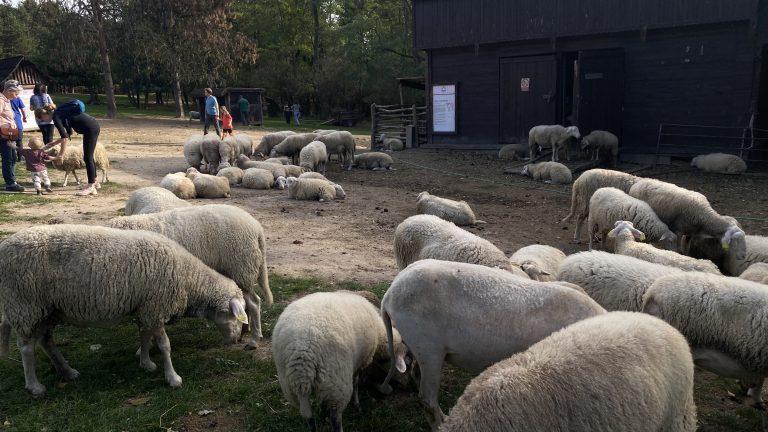 S turistickým krúžkom z Lozorna do Stupavy, Biofarma Príroda