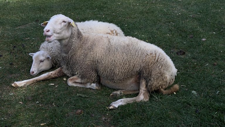 S turistickým krúžkom z Lozorna do Stupavy, Biofarma Príroda