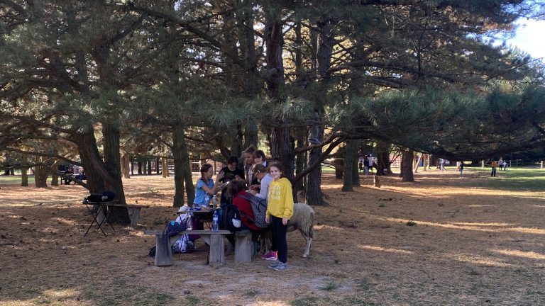 S turistickým krúžkom z Lozorna do Stupavy, Biofarma Príroda