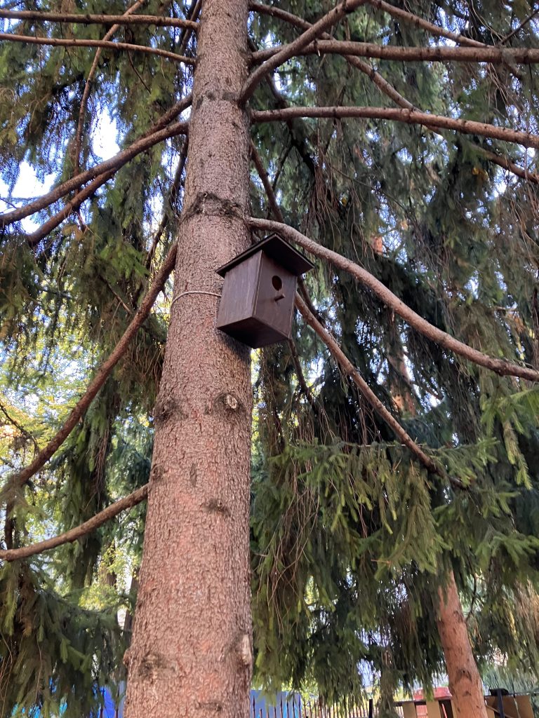 Vtáčie búdky na školskom dvore