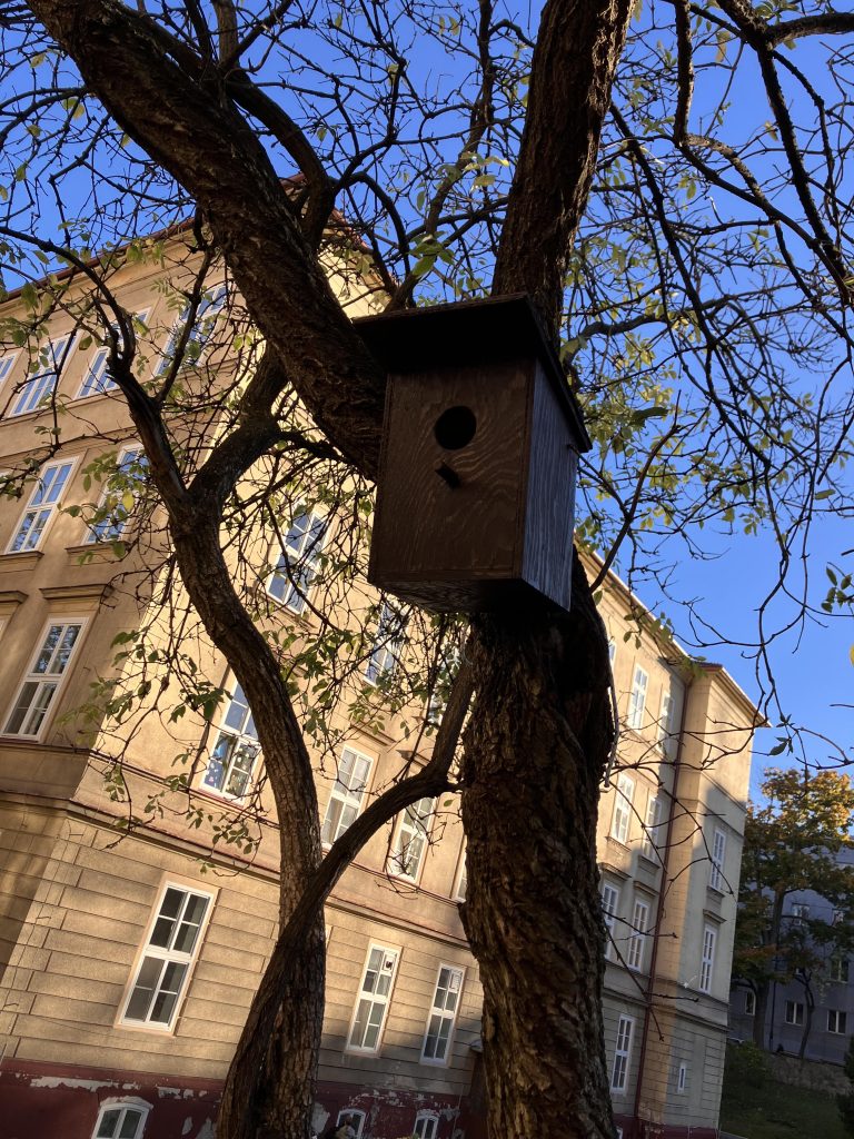Vtáčie búdky na školskom dvore
