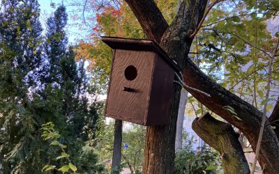 Vtáčie búdky na školskom dvore