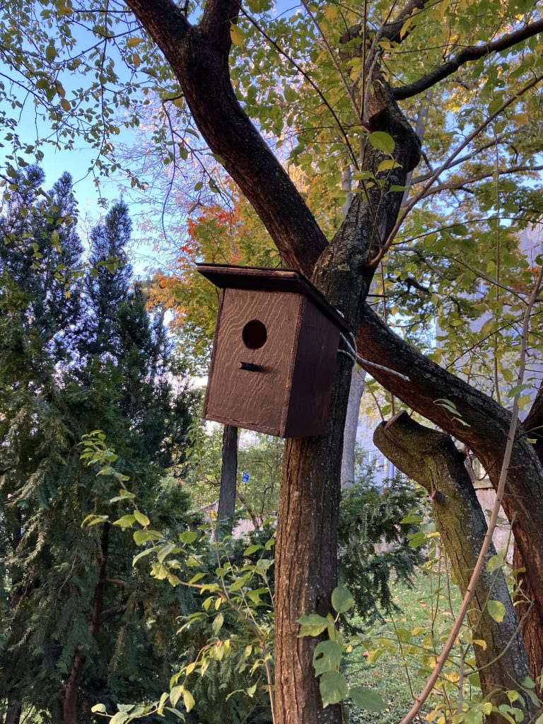 Vtáčie búdky na školskom dvore