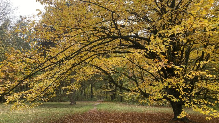 S turistickým krúžkom z Budmeríc do Dubovej, kaštieľ Budmerice