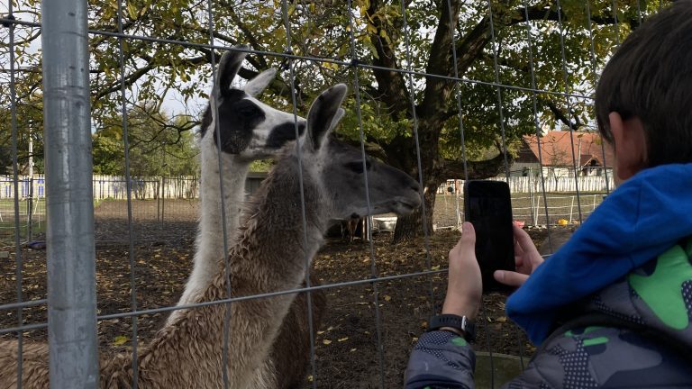 S turistickým krúžkom z Budmeríc do Dubovej, kaštieľ Budmerice