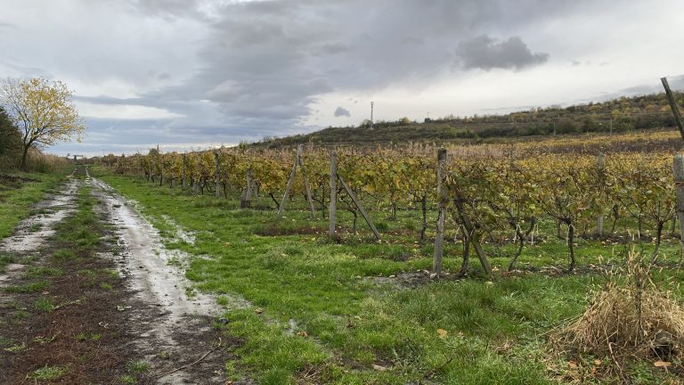 S turistickým krúžkom z Budmeríc do Dubovej, kaštieľ Budmerice