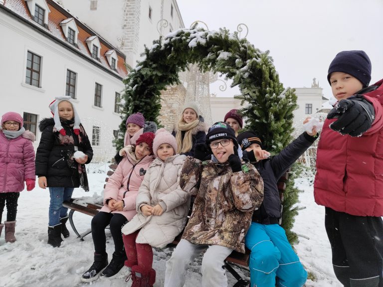 Kelti na Bratislavskom hrade