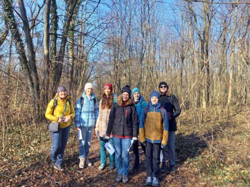 Resized_20240120_114638