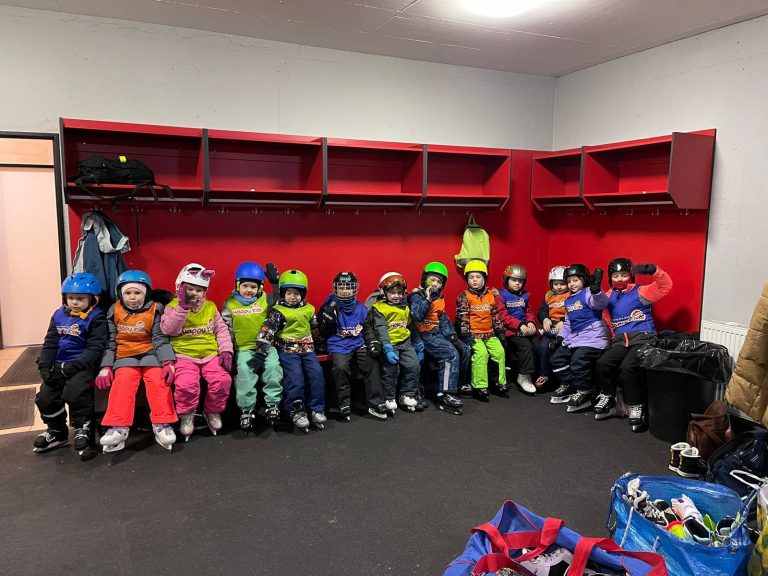 Sovičky na korčuliarskom výcviku