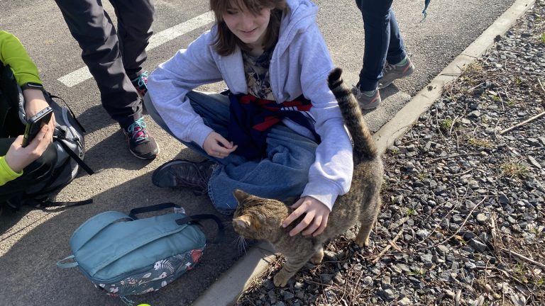 S turistickým krúžkom z Modry do Pezinka.  Po stopách Štúra modranským regiónom