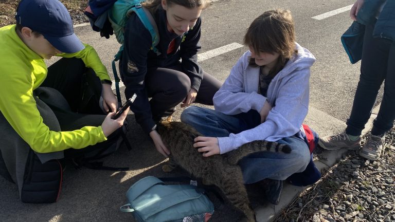 S turistickým krúžkom z Modry do Pezinka.  Po stopách Štúra modranským regiónom