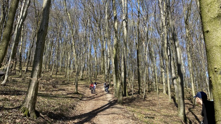 S turistickým krúžkom zo Záhorskej Bystrice na Kolibu – Slovenský hydrometeorologický ústav